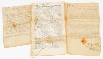 1796 A sepsi-székbeli Réty helyiségből származó Gazda család nemességigazolási perének iratai: tanúvallomás 8 beírt oldalon, valamint két a családra vonatkozó korabeli uralkodói oklvél kiváltságlevél másolat.