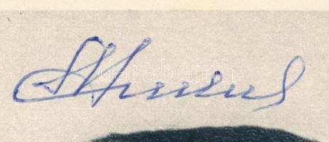 Andrijan Grigorjevics Nyikolajev (1929-2004) szovjet űrhajós autográf aláírása őt ábrázoló képslapo ...