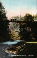Szepes, Zips, Spis; Hernád áttörés, Csingó híd. Ferencz D. kiadása / Prielom Hornádu (Slovensky raj) / Cingov wooden bridge, canyon along the Hornád river