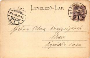 1901 Sopron, felsőbb leánytanoda. O. Schleich Nachf., Carl Schwarz kiadása (gyűrődés / crease)