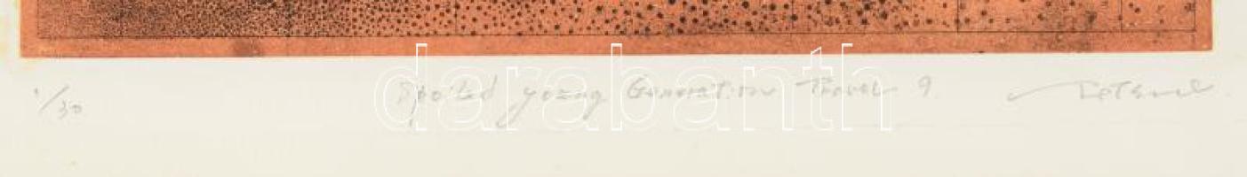 Tetsuo Yamashita (-), japán művész: Spoiled young generation travel 9. Rézkarc, aquatinta, papír, je...