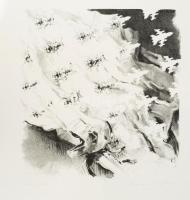 Emanuel Gloor (1937-): Lódarázszászló. Litográfia, papír, jelzett, számozott (43/100), 34x32 cm