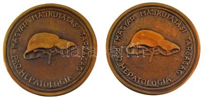 Pató Róza (1934-2018) 2005. "Magyar Májkutatási Társaság, Pro Hepatologia / Alapította: Prof. Dr. Fehér János" bronz emlékérem (2x) (91mm) T:AU