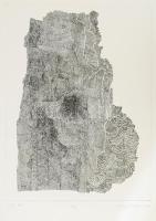 Kókay Krisztina (1943-): Régi kert, 2001. Rézkarc, papír, jelzett, 25/5 számozással, 40×29 cm