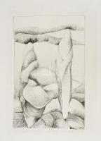 M. Németh Márta (1966-): Összebábozódás, 1995. Litográfia, papír, jelzett, művészpéldány E.A. VII/VIII számozással. 36x23 cm