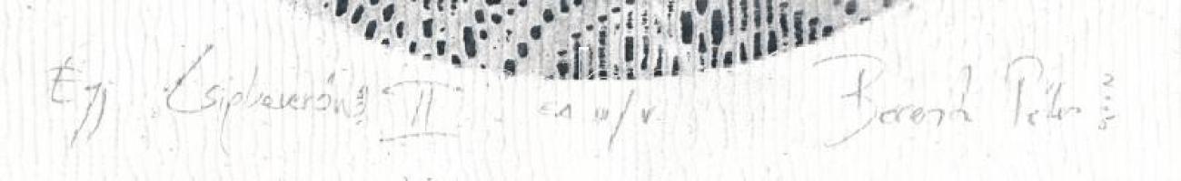 Berentz Péter (1972-): Egy csipkeverőnő. Dombornyomás, computer print, papír, jelzett, művészpéldány...