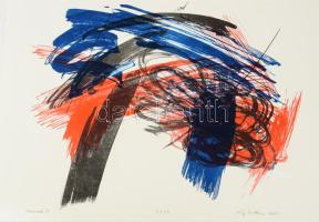 Kiss Zoltán (1965-): Tércsomók III., 2001. Litográfia, papír, jelzett, számozott: 8/13, 31x41 cm