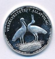 1992. 200Ft Ag "Veszélyeztetett állatvilág - Fehér gólya" kapszulában, tanúsítvánnyal T:PP...