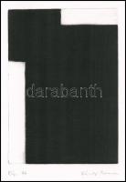 Károlyi Zsuzsanna (1954-): Kép, 1997. Rézkarc, papír, jelzett. 21x14 cm