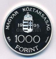 1995. 1000Ft Ag "Integráció az EU-ba - ECU" kapszulában, tanúsítvánnyal T:PP Adamo EM145