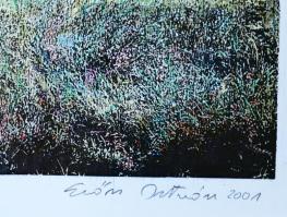Erőss István (1964-): Kert, 2001. Print, ceruza, papír, jelzett. 38x57 cm