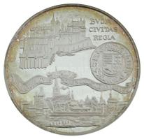 1990. 500Ft Ag "Budai vár" műanyag dísztokban T:UNC (eredetileg PP) patina
Adamo EM114