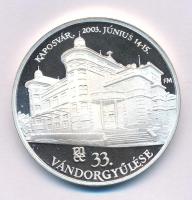 Fritz Mihály (1947-) 2003. "MÉE Kaposvár - 33. Vándorgyűlés / Csiky Gergely a színház névadója" kétoldalas jelzett Ag emlékérem kapszulában (34,45g/0.925/42,5mm) T:PP