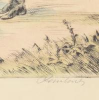 Paulovits Pál (1892-1975): Falusi mulatság. Színezett rézkarc, papír, jelzett. Lap széle kissé folto...