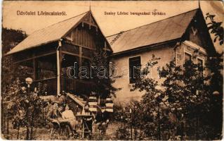 Beregszász, Berehove; Lőrinclak, Szalay Lőrinc beregszászi borháza, szőlőskert, szőlészet. Ignáczy Géza fényképész felvétele / winery, vineyards, grapery, villa (EB)
