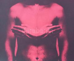 Pinczehelyi Sándor (1946-): XYZ, 1977. Szitanyomat, papír, jelzett, próbanyomat. 34x28 cm. / serigra...