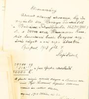 ca 1880-1933 Sajó Sándor, született Heringer (1868-1933 költő, tanár, drámaíró, tankerületi királyi ...