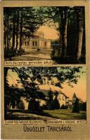 1910 Tarcsa, Tarcsafürdő, Bad Tatzmannsdorf; Batthyány szálló, Gyógyudvar és Hidegvíz Intézet. Hönigmann Jakab kiadása / Hotel Batthyány, Kurhof Kaltwasser Heilanstalt / hotel, spa (EK)