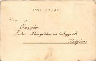 Buziásfürdő, Baile Buzias; gyógyfürdő, szálloda / spa hotel. Kunstanstalt Kosmos 146. Art Nouveau, l...