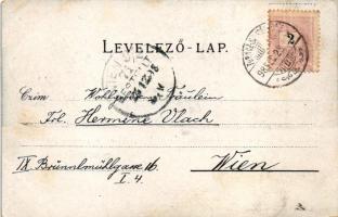 1898 (Vorläufer!) Túrócszentmárton, Turciansky Svaty Martin; látkép, kiadja Moskóczi Ferencné / gene...