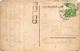 1915 Feled, Veladín; pályaudvar, vasútállomás, gőzmozdony, vonat. Vasúti levelezőlapárusítás / railw...
