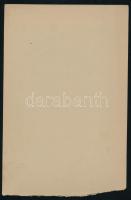 cca 1910 Ruffy Varga Kálmán (1873-1942) mezőgazdász, szakíró, felsőházi tag, a Ferenc József-rend lo...