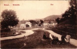 1908 Brassó, Kronstadt, Brasov; Noa. Zeidner H. kiadása / Noua (kis szakadás / small tear)