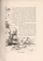 Az Osztrák-Magyar Monarchia írásban és képben. Magyarország IV. kötete: A Dunántúl.
Budapest, 1896....