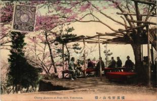Yokohama, Cherry Blossom at Noge Hill
