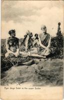 Agar dinga Sobé in the upper Sudan. Editor M. Venieris photographer (Khartoum) (fl)