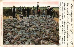 1907 California, After the Rabbit Drive, rabbit hunting. Charles Weidner Photographer (EM)