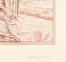 Molnár Iscsu István (1947-): "Heves párbeszéd". Rézkarc, papír, jelzett. Fakeretben. 29×19...