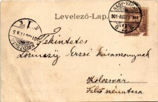 1901 Nagyvárad, Oradea; látkép. Helyfi László kiadása / general view (gyűrődések / creases)