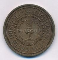 Tóth Sándor (1933-2019) DN "SIGILLUM CIVITATIS MISKOLCZ " kétoldalas bronz emlékérem, háto...