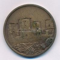 Tóth Sándor (1933-2019) DN "SIGILLUM CIVITATIS MISKOLCZ " kétoldalas bronz emlékérem, háto...