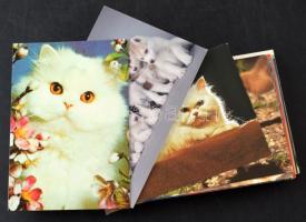 73 db MODERN állatos képeslap / 73 modern animal postcards