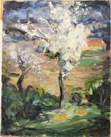 Olvashatatlan jelzéssel: Tavaszi piknik. Olaj, vászon. Kisebb felületi sérülésekkel. 56x46,5 cm