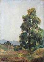Jelzés nélkül: Hegyvidéki táj. Olaj, vászon. 70x51 cm