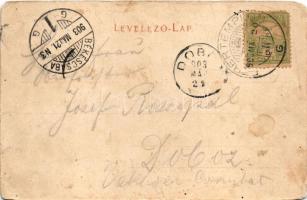 1903 Arad, Maros part, uszoda, gyár. Bloch H. / Mures riverside, swimming pool, factory (felületi sé...