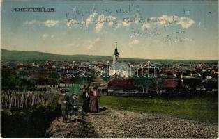 Fehértemplom, Ung. Weisskirchen, Bela Crkva; látkép, szőlő / general view, vineyard (r)