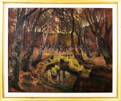 Olvashatatlan jelzéssel, erdélyi magyar festő, XX. sz. második fele: Erdőrészlet. Olaj, farost. 50x60 cm. Dekoratív fakeretben.