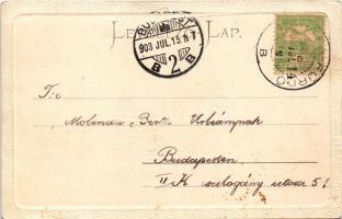 1903 Bártfafürdő, Bardejovské Kúpele, Bardiov, Bardejov; New York vendéglő, étterem. Eschwig Ede F. ...