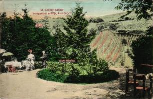 Beregszász, Berehove; Id. Lónyay Sándor szőlője, kert részlet. Ignáczy Géza felvétele. A képeslap címzettje gróf Lónyay Ferencné / vineyard, garden (EK)