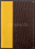 Svájc Nemzetközi Szervezetek modern négyestömb gyűjtemény 8 lapos közepes berakóban