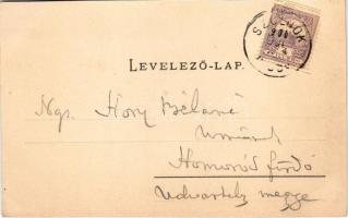 1900 Szolnok, M. kir. törvényház