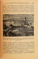 Hámori Dezső: Lótenyésztés. 93 képpel és 9 melléklettel. Bp.,1946., Athenaeum, 346 p.+ 1 (I. tábláza...