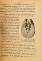 Hámori Dezső: Lótenyésztés. 93 képpel és 9 melléklettel. Bp.,1946., Athenaeum, 346 p.+ 1 (I. tábláza...