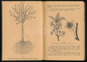 Horváth E. János: Gyümölcsfa-tenyésztés. Útmutató a gyümölcsfák nevelésére, a gyümölcs értékesitésér...