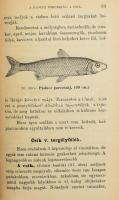 Gr. Lázár Kálmán - Kriesch János: Hasznos és kártékony állatainkról. Mezei gazdák, erdőtulajdonosok ...