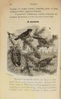 Gr. Lázár Kálmán - Kriesch János: Hasznos és kártékony állatainkról. Mezei gazdák, erdőtulajdonosok ...